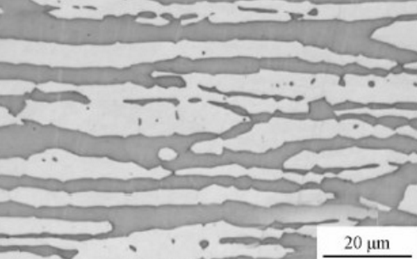 奧氏體-鐵素體雙相組織